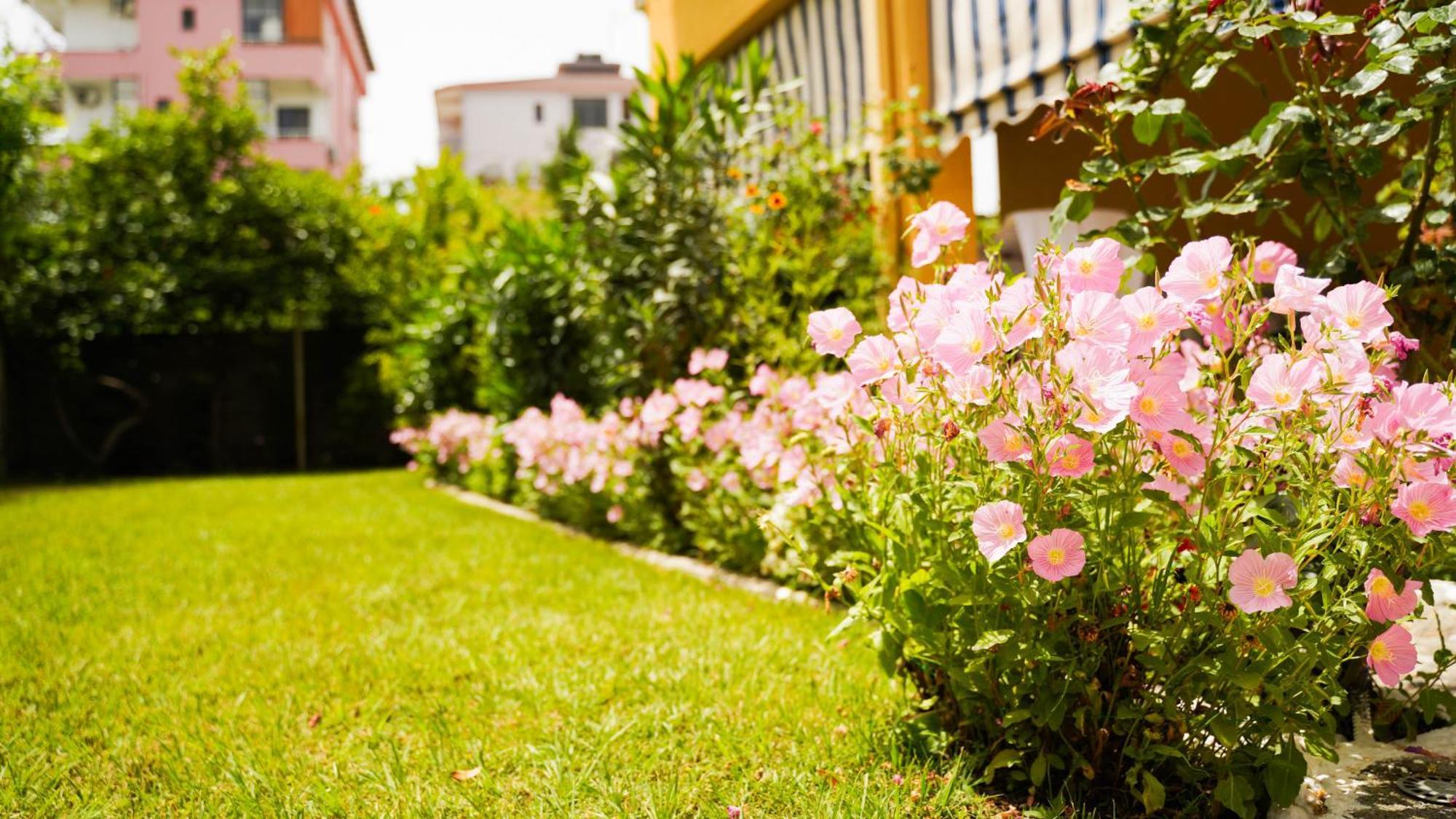 Vila Aliaj Luxury Apartment With 2 Rooms With Private Wonderful Terrace Durrës Zewnętrze zdjęcie